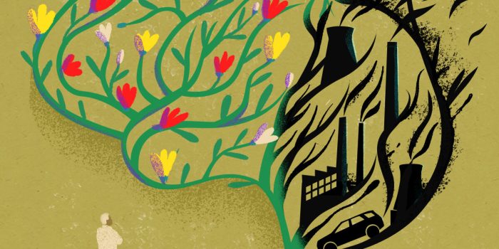 04sci-SPAN-enviro-dementia-mediumSquareAt3X-zu1zi6-rss