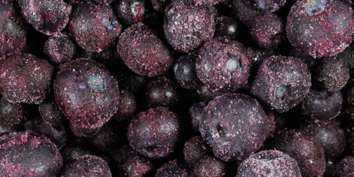 05xp-blueberries-top-mediumSquareAt3X-4Hr8pu-rss