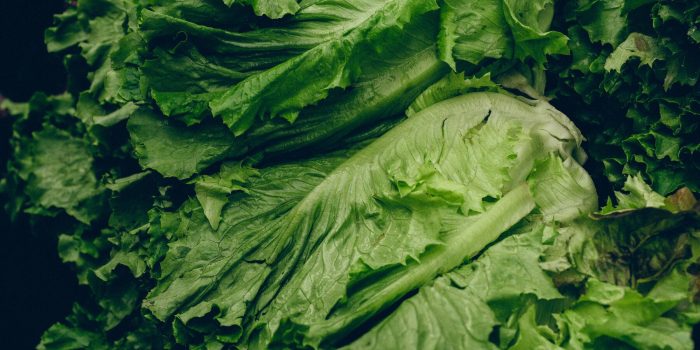 06biz-greenhouse-lettuce-01-wghj-mediumSquareAt3X-v2-fK1vQ3-rss