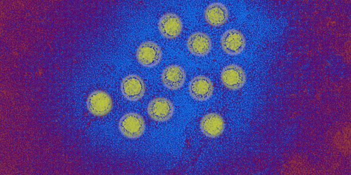 09HS-HEPATITIS-A-mediumSquareAt3X-onnPHN-rss