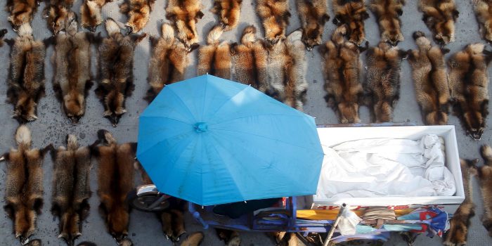 09WILDLIFE-TRADE-mediumSquareAt3X-W2GQd2-rss