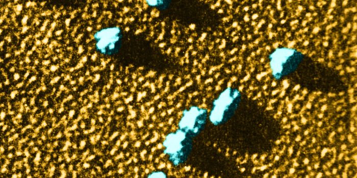 12HS-ORIGINS-VIRUS-mediumSquareAt3X-bIOVIw-rss