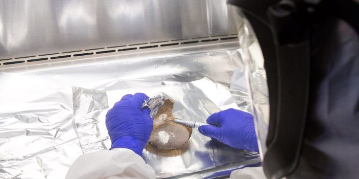 15HS-SELECTION-01-phvz-mediumSquareAt3X-2OwnH6-rss