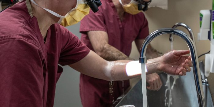 15a2_insider-infant-heart-02-vwkj-mediumSquareAt3X-gGzGfB-rss