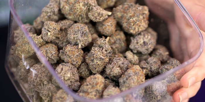 19hs-cannabis-pregnancy-qptz-mediumSquareAt3X-zKbZSW-rss