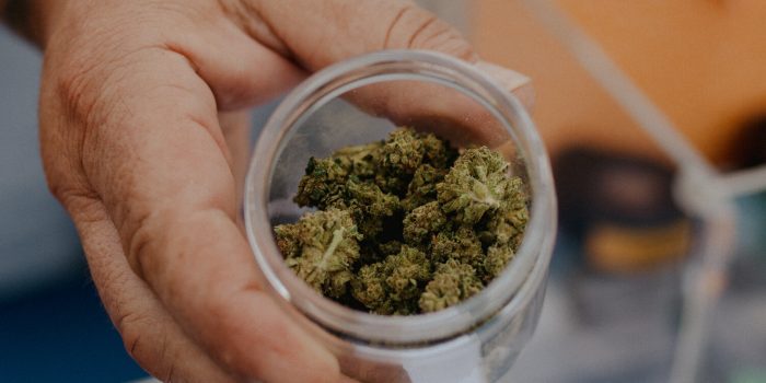 19hs-weed-explainer-pmvg-mediumSquareAt3X-C4hNru-rss