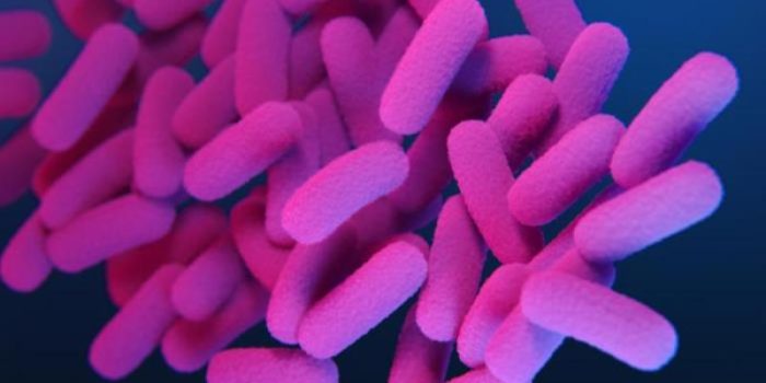 23237_lores-XCWgtX-rss