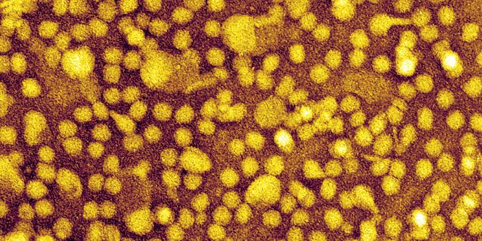 25sci-cholesterol-mediumSquareAt3X-237lws-rss