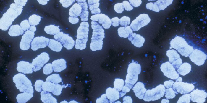 28sci-workplace-genes-mediumSquareAt3X-UgvQ2K-rss