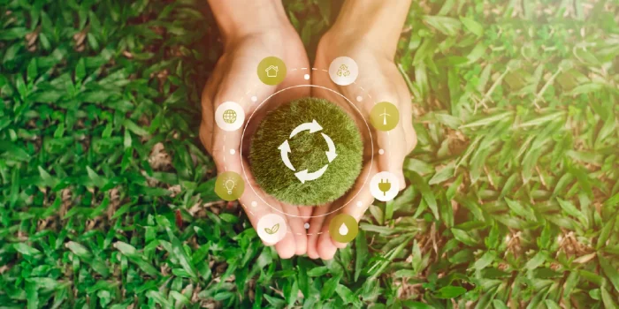 Environmental Action Steps