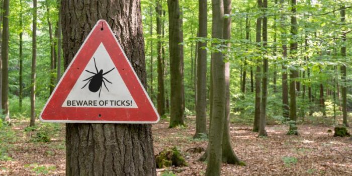 Beware20of20tick20sign-q0tVFt-rss