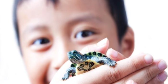 Boy20with20turtle-MPCEg6-rss