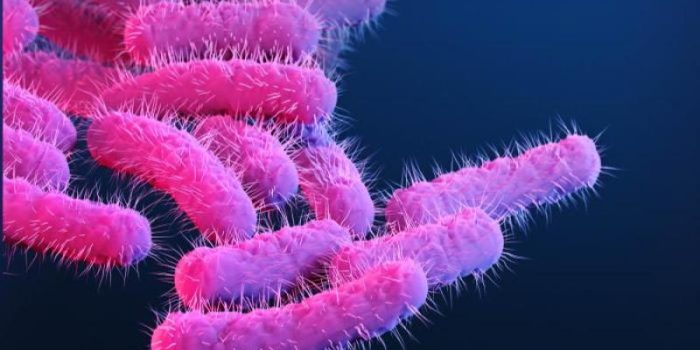 CDC_Shigella-NRkkfc-rss