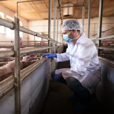 Meat and Food Inspection