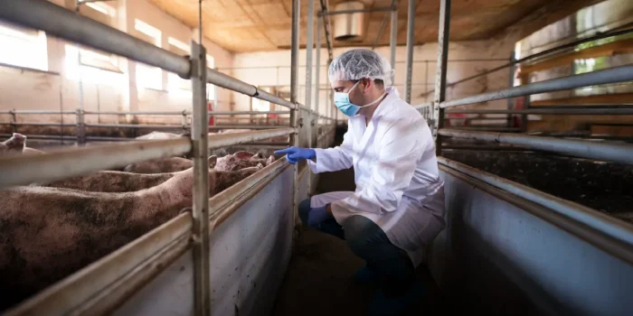 Meat and Food Inspection