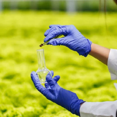 Antibiotics in Our Food Chain