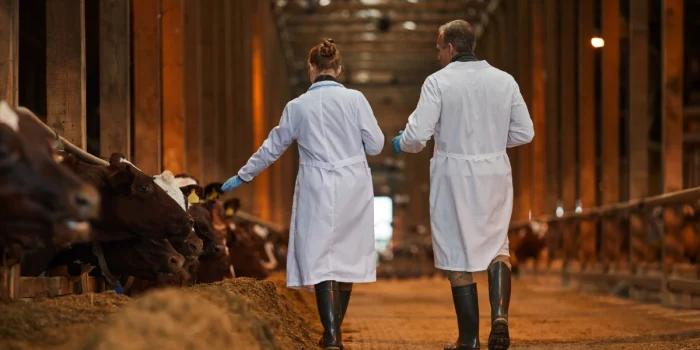 Veterinary Medicine Impact