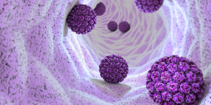 HPV20virus-eIv36U-rss