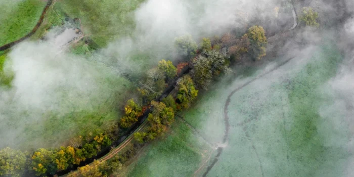 Nature And Human Health