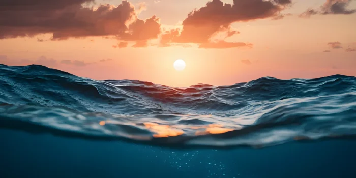 Blue Planet Survival