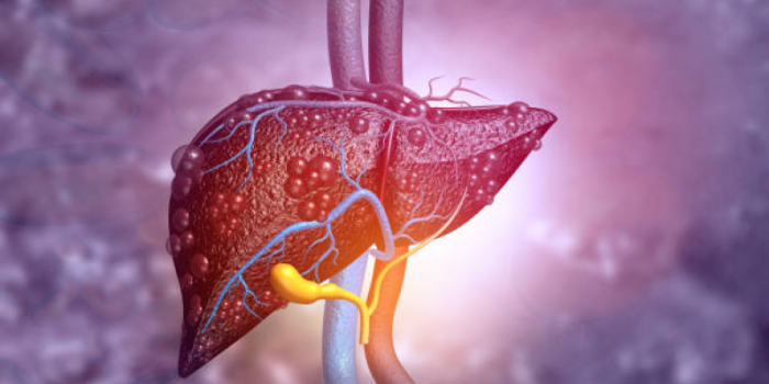 Hepatitis-HHffQh-rss