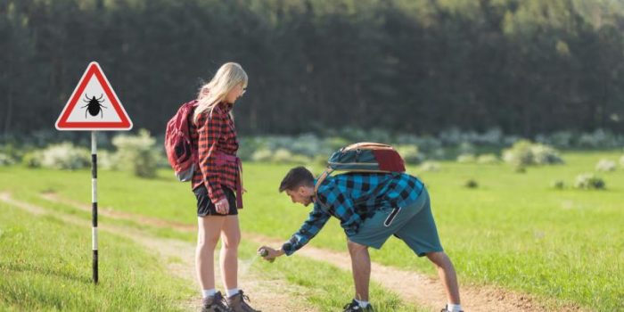 Hikers20applying20tick20repellent-fkjKCh-rss