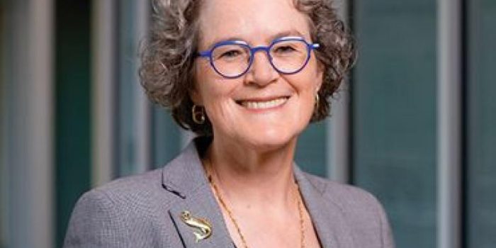 Jeanne20Marrazzo-UAB-6U9PGg-rss