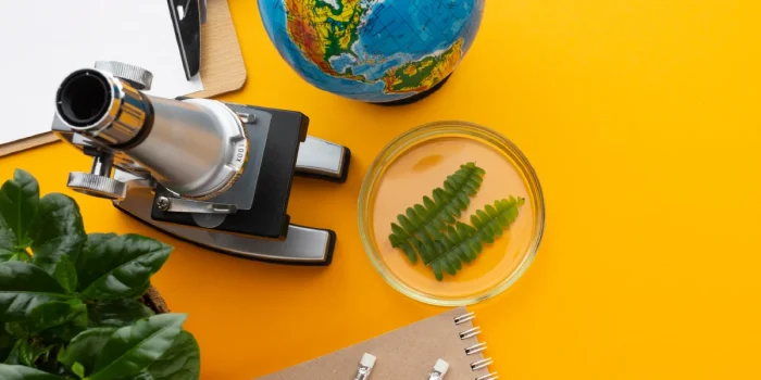 Environmental Education Classroom Importance