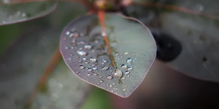 Systems That Sustain Life