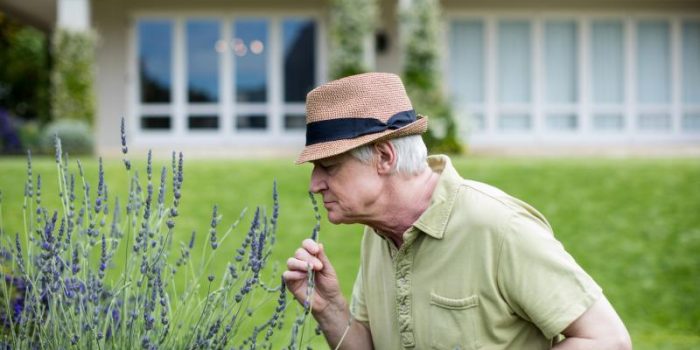 Man20smelling20lavender-4Fcrb1-rss