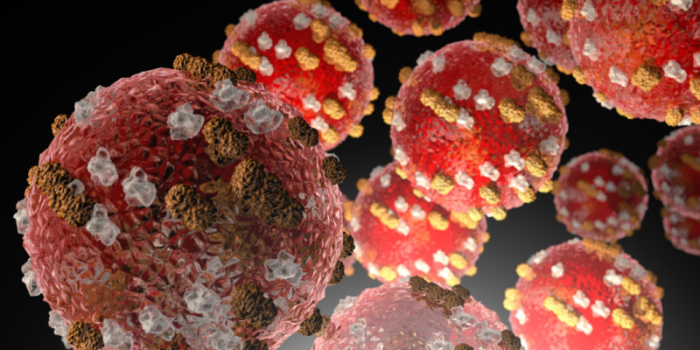 Measles20virus20illustration-Lj33MX-rss