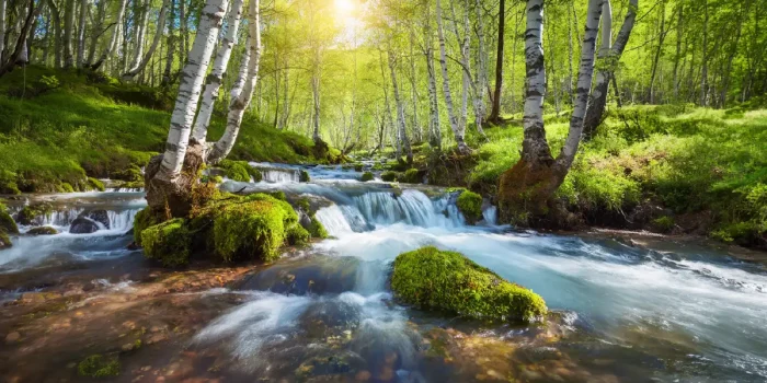 Nature Conservation Action