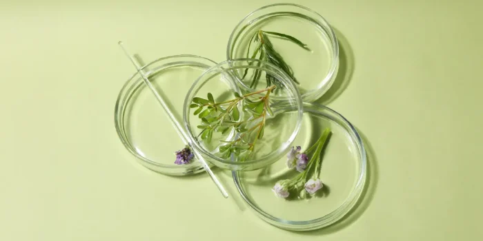 Natural Compounds in Drug Development