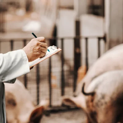 Zoonotic Disease Prevention