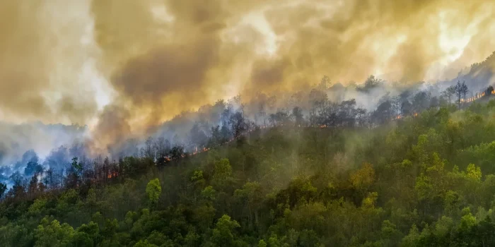 Wildfire Preparedness Safety