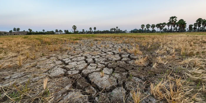 Drought Resilience Strategies