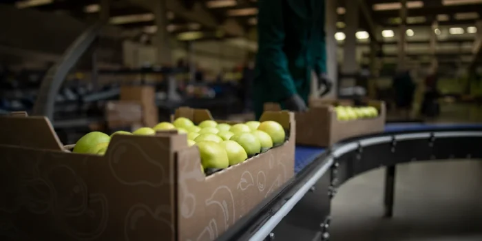Food Safety Culture