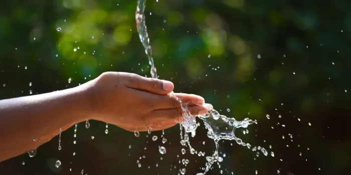 Global Water Security