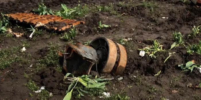 Soil Pollution Food Chain