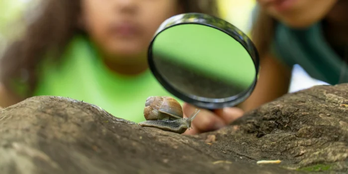 Environmental Education Planet Understanding