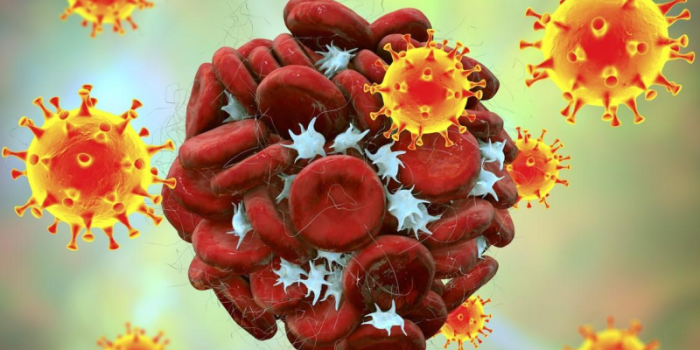 Virus20illustration-7Eu1Vp-rss