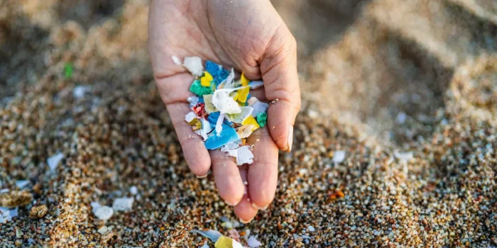 Microplastics in Human Blood