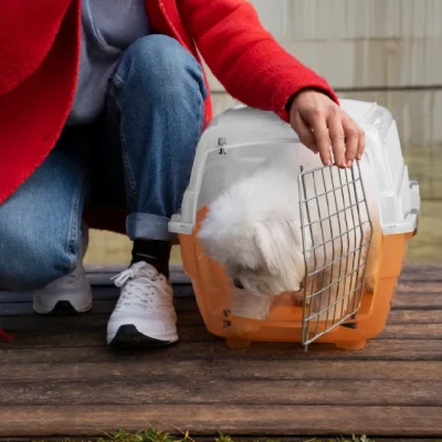 Caring for Shelter Animals