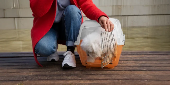 Caring for Shelter Animals