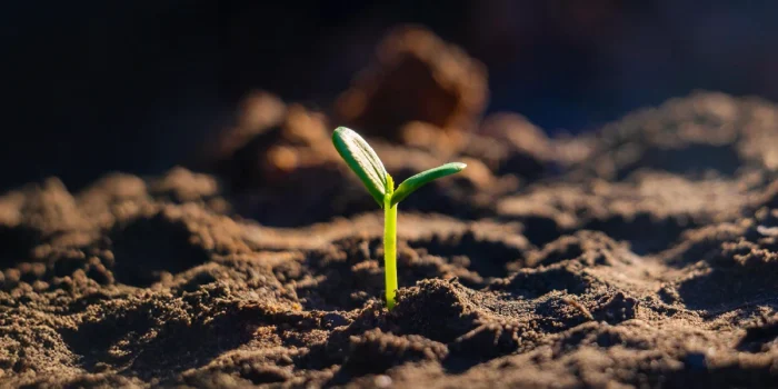 Healthy Soils, Healthy Planet