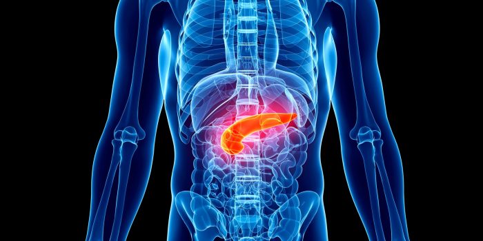 XXhs-pancreatic-cancer-mediumSquareAt3X-jdDB0C-rss