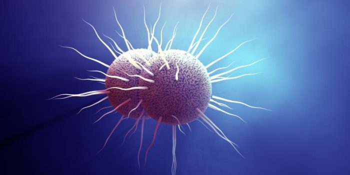 iStock-1127013778-vYkvan-rss