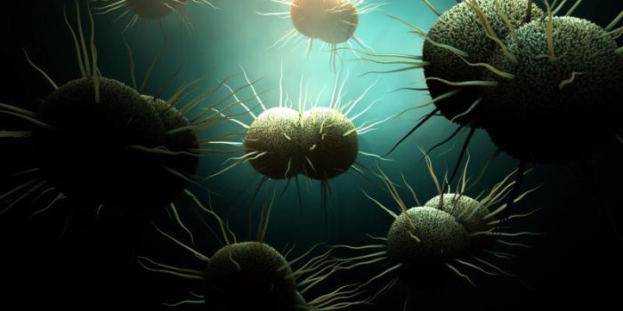 iStock-1128533495-nrpVzL-rss