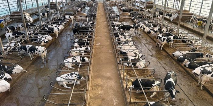 iStock-2210613464-MPAWBS-rss