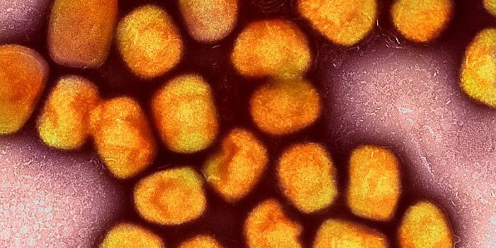 mpox20purple20orange2028229-wKsNlk-rss